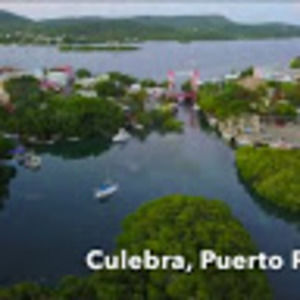 Meet your Posher, Nelson